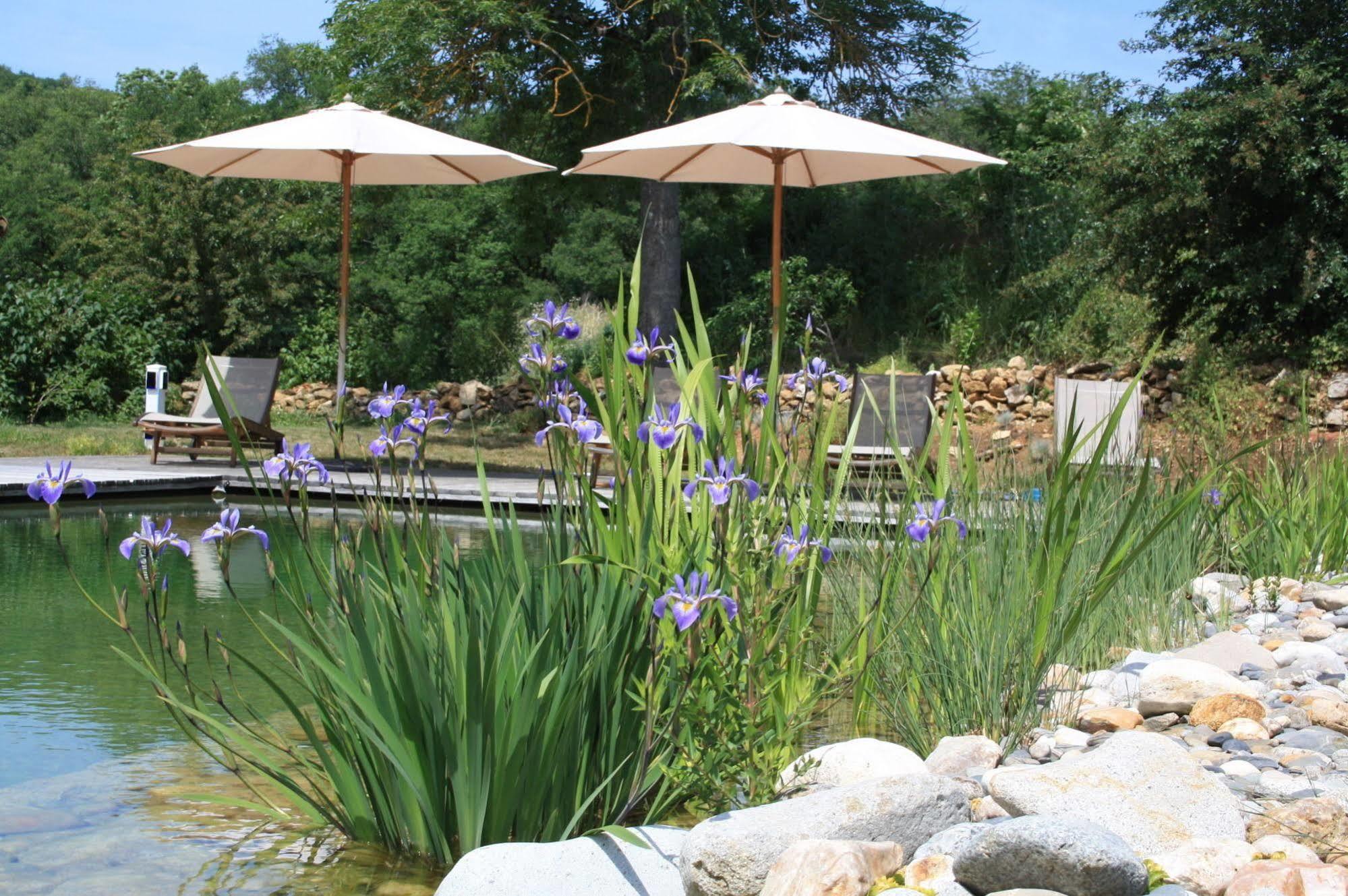 Bed and Breakfast Le Hameau Du Quercy Frontenac  Экстерьер фото